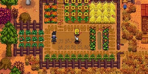 Stardew Valley Friendship Guide: Sandy
