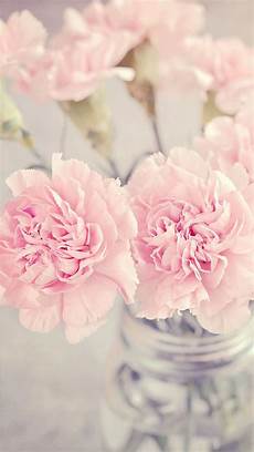 Flower Pastel Lock Screen Wallpaper Iphone by Pretty Pink Flowers Pastel Wallpaper Iphone Background Flower Pastel Lock Screen Wallpaper Iphone