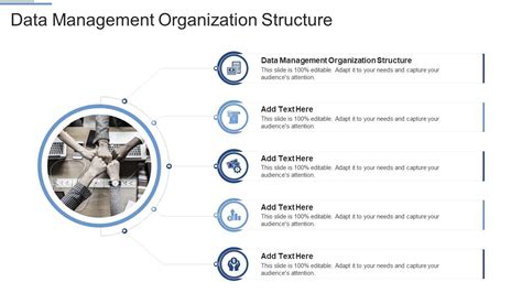 Data Management Organization Chart 的图像结果