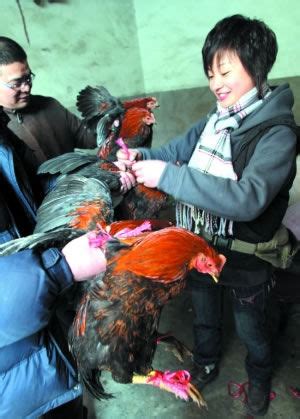 多地新建家禽集中屠宰市场，距生鲜鸡“杀”到还有久？