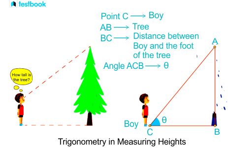Image result for Real Life Examples of Trigonometry