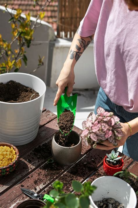 Page 26 | Plant therapy Images - Free Download on Freepik