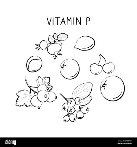 Bioflavonoids vector vectors hi-res stock photography and images - Alamy