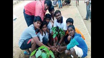 Whitetopping debris sapping life out of saplings: Activists | Bengaluru ...