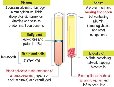 BLOOD AND HEMATOPOIESIS - Clinical Tree