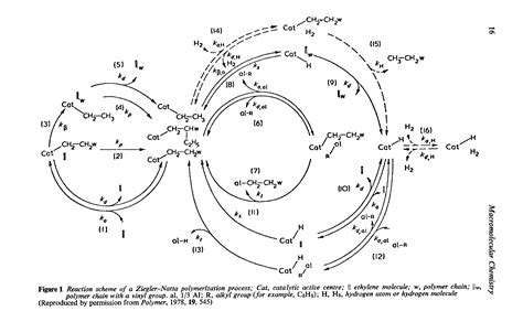 Mechanism Of Ziegler Natta Catalyst In Polymerization