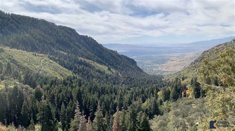 Horsetail Falls Hike from the Dry Creek Trailhead in Alpine, Utah