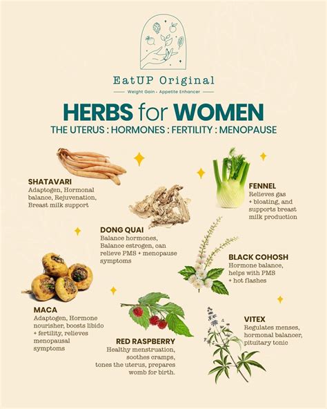 #Women #sustainable #ecofriendly #marketing #environment | Holistic health remedies, Herbal ...