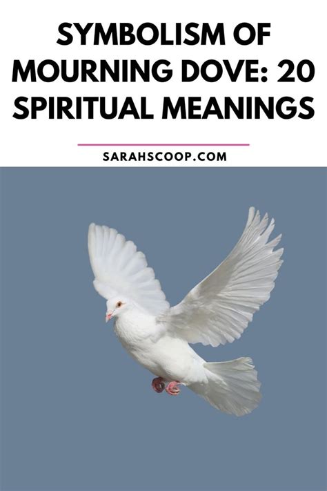 Symbolism of Mourning Dove: 20 Spiritual Meanings