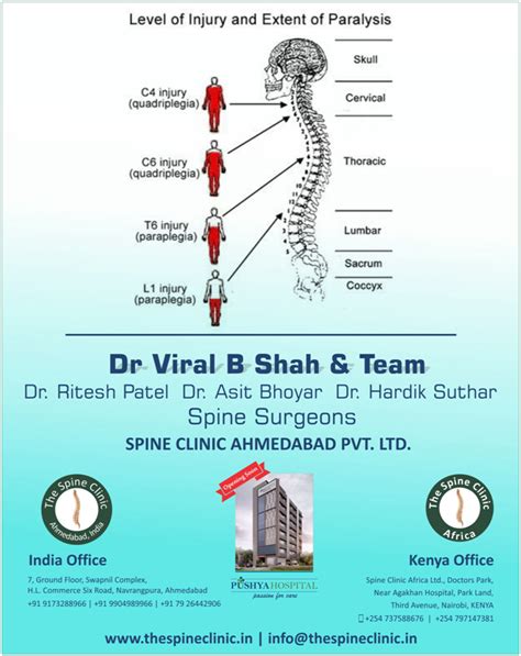 The Spine Clinic