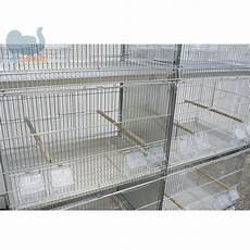 frontali gabbie batteria gabbie per uccelli allevamento esposizione frontali gabbie batteria gabbie per uccelli allevamento esposizione