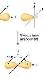 Sp hybridization diagram - Brainly.in
