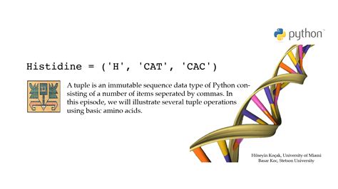 Tuple Pronunciation Python 的图像结果