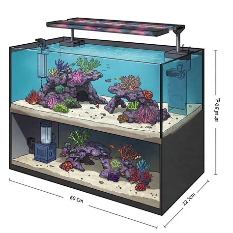 Complete Guide to 60 Gallon Fish Tank Dimensions: Everything You Need ...