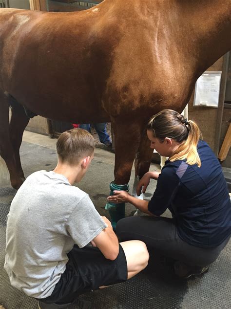 Calendar | Pegasus Therapeutic Riding Academy