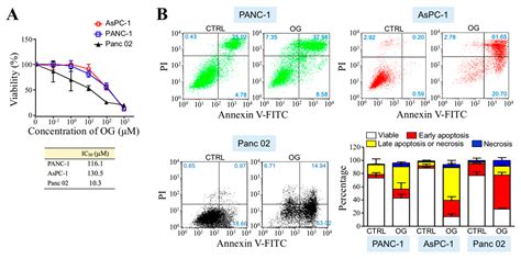 Octyl Gallate Induces Pancreatic Ductal Adenocarcinoma Cell Apoptosis ...