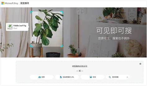 搜图 的图像结果