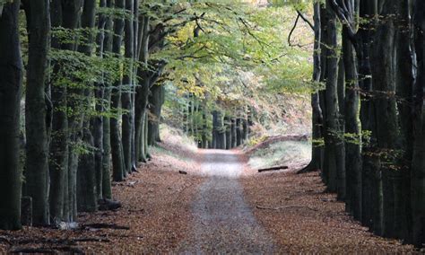 THE 30 BEST Places to Visit in Ede (2026) - Must-See Attractions