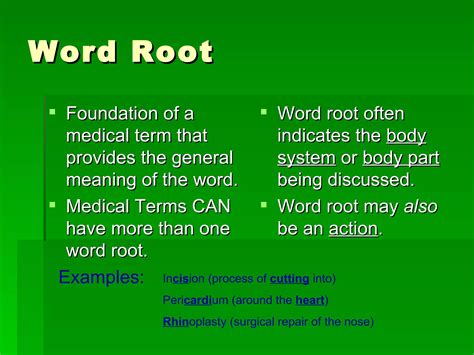 Chapter1presentation | PPT