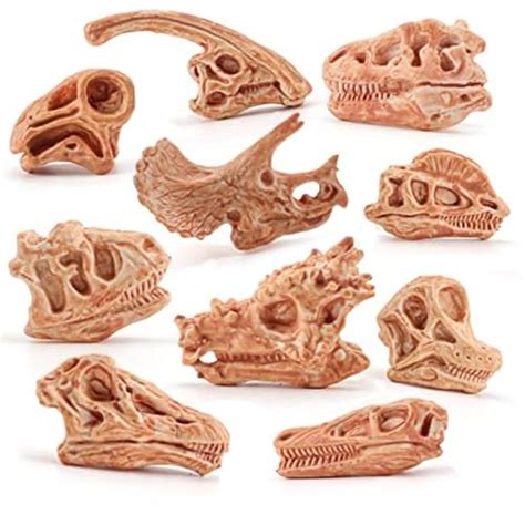 Lc Joycre Mini Dinosaur Bones For Kids Sandbox Toys Realistic ...