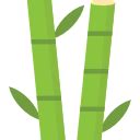 Bamboo Icons & Symbols