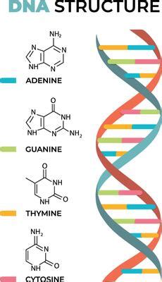 Image result for DNA Microarray Data