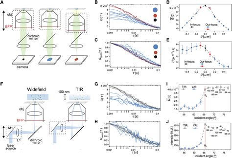 Image result for Microscope Alignment