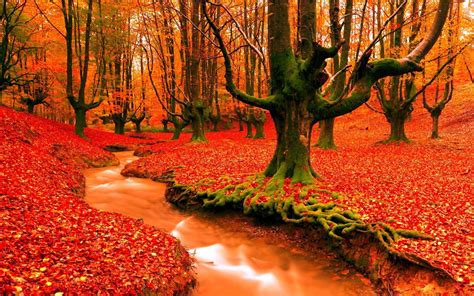 Image result for Django Python Life Cycle