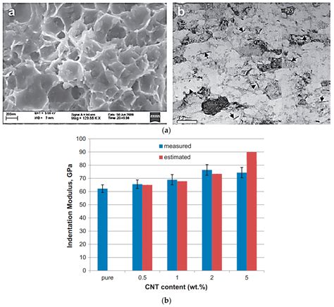 Incorporation of Conductive Materials into Hydrogels for Tissue ...
