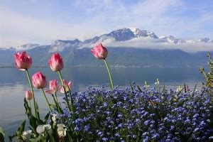 Poster | Natural Scenery Poster | Waterfall Forests, Trees, Sunset ...