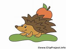 ausmalbild igel mit apfel igel mit apfel comic ausmalbild igel mit apfel igel mit apfel comic