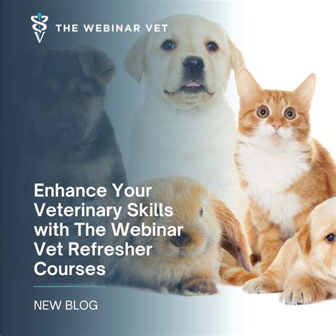 Tutorial Win Vet 的图像结果