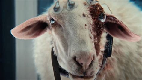 Image result for Alien Earth Eye Ball Sheep