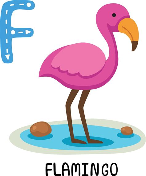 Illustration Isolated Animal Alphabet Letter F-Flamingo 10511973 Vector ...