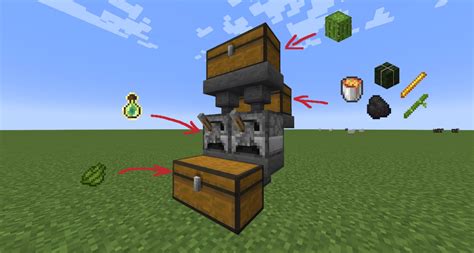 Image result for How to Make a Cactus XP Farm Java