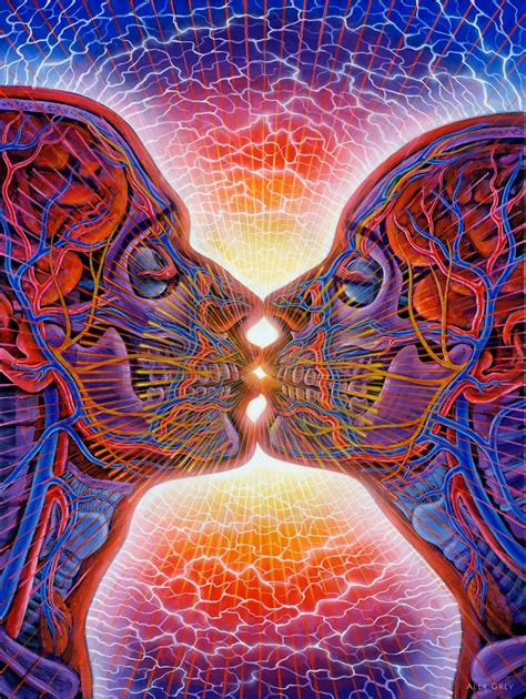 アレックスグレイ 画集 _ alex grey skeleton – WGYC