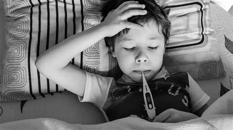 Bird Flu strikes India again; Know symptoms, precautions and more in detail