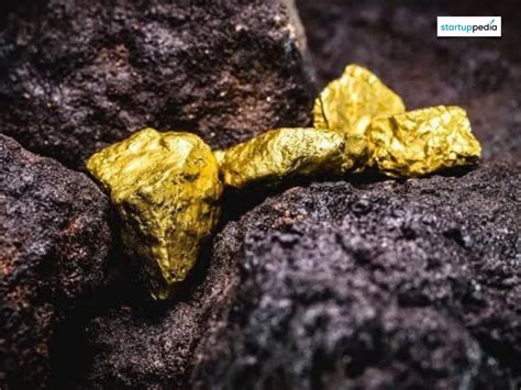 India’s 1st large private gold mine in AP is set to begin full-scale ...