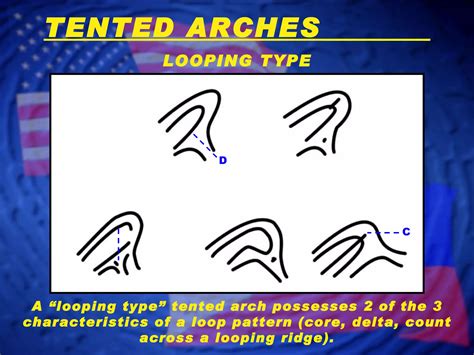 Fingerprint Classification - Arch Patterns | PPT