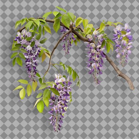 Page 2 | Paulownia branch PSD, High Quality Free PSD Templates for ...