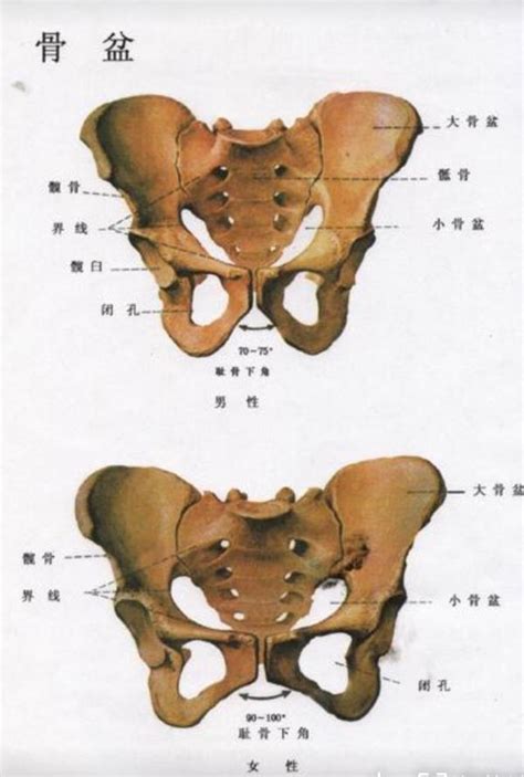 龙氏柔性正骨法--龙氏正骨揭眾平--骨盆前倾的正骨手法_腾讯视频