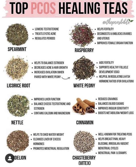 fertility herbal remedies