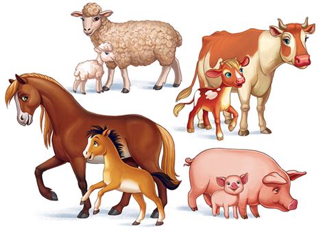 Animals 的图像结果