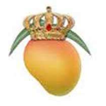 Fresh Mango buy in Amravati