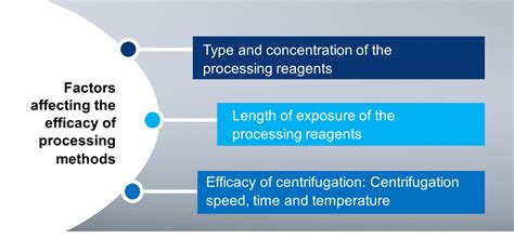 Specimen Processing for TB Cultures | Knowledge Base