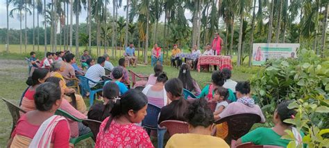 Green Bodoland Mission: Youth-led drive to reclaim forest cover and ...