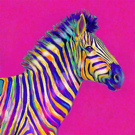 Image result for Split Complementary Colors Examples
