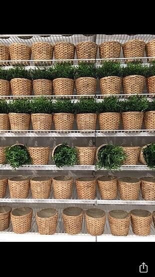 İkea 1 Adet Hasır Saksı Ikea Vazo %20 İndirimli - Gardrops