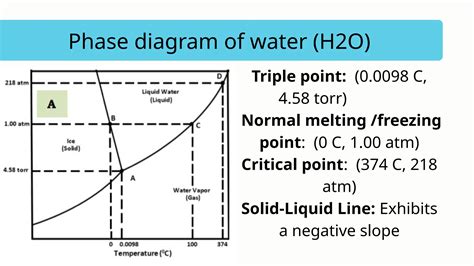 phase diagrams of water and carbon dioxide ppt.pptx