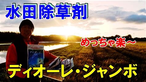 Moviepy Python Path of File 的图像结果